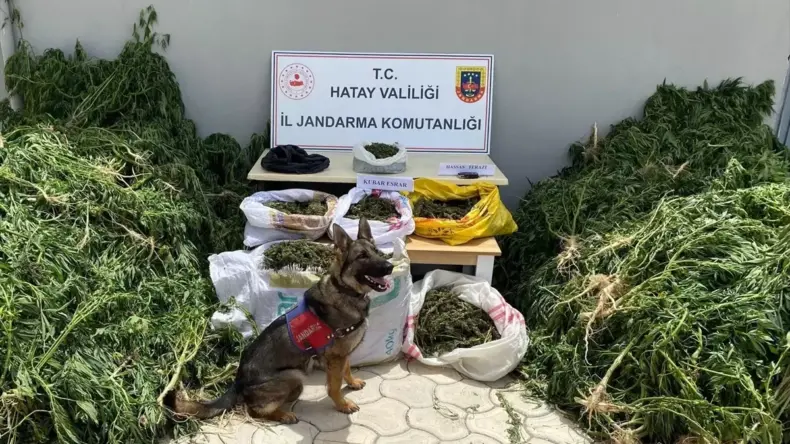 Hatay’da Uyuşturucu Operasyonu: 83 Gözaltı
