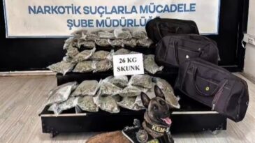 Hakkâri’de kamyonette 26 kilogram skunk ele geçirildi: 1 şüpheli tutuklandı