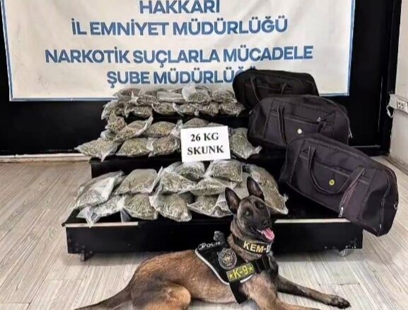 Hakkâri’de kamyonette 26 kilogram skunk ele geçirildi: 1 şüpheli tutuklandı