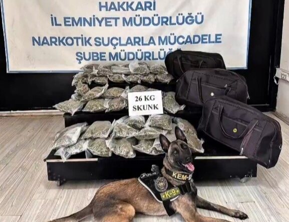 Hakkâri’de kamyonette 26 kilogram skunk ele geçirildi: 1 şüpheli tutuklandı