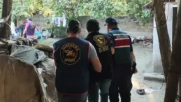 Torunundan Dehşet: Babaannesi Darp Edilerek Öldürüldü