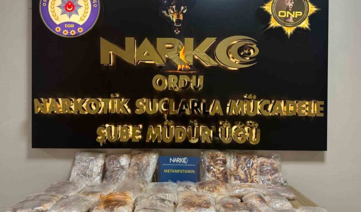 Ordu’da uyuşturucu operasyonlarında 2 tutuklama