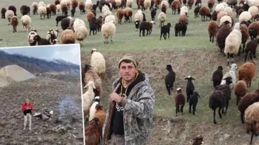 Erzurumlu çoban, sürüsünü toplamak için bakın ne yaptı: ‘Şimdi kartal gibi gözlerimle kontrol ediyorum’